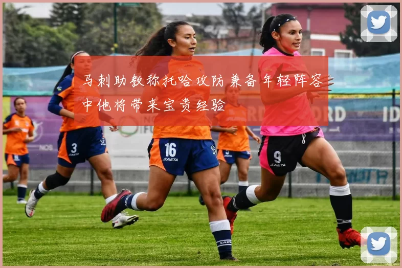马刺助教称托哈攻防兼备年轻阵容中他将带来宝贵经验