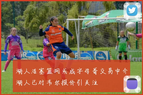 湖人活塞篮网或成字母哥交易中介湖人已对韦尔报价引关注