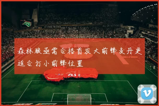森林狼亟需合格首发大前锋麦丹更适合打小前锋位置
